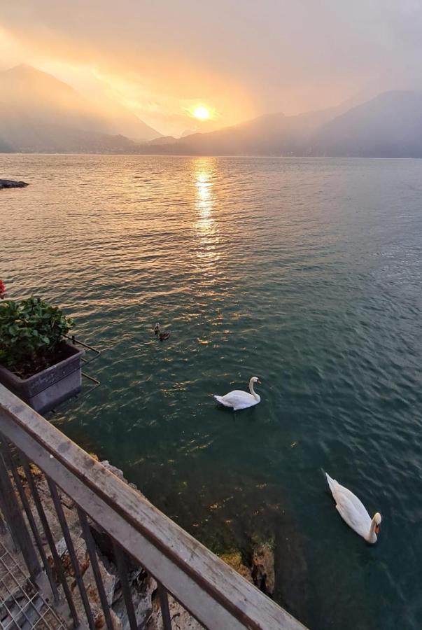 La Perla Del Lago Di Como - Cir O97O67 Perledo Exterior photo